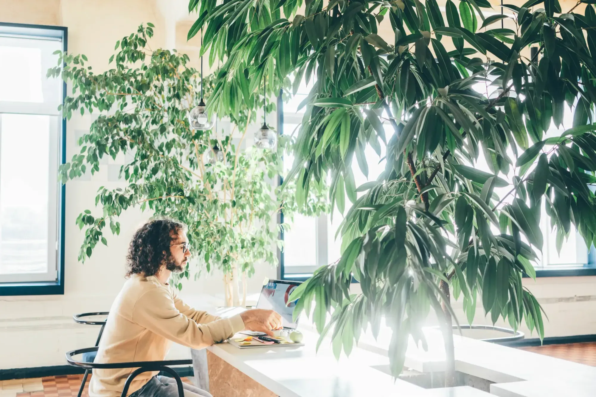 A person sitting at a countertop with a laptop, surrounded by indoor plants and natural light.