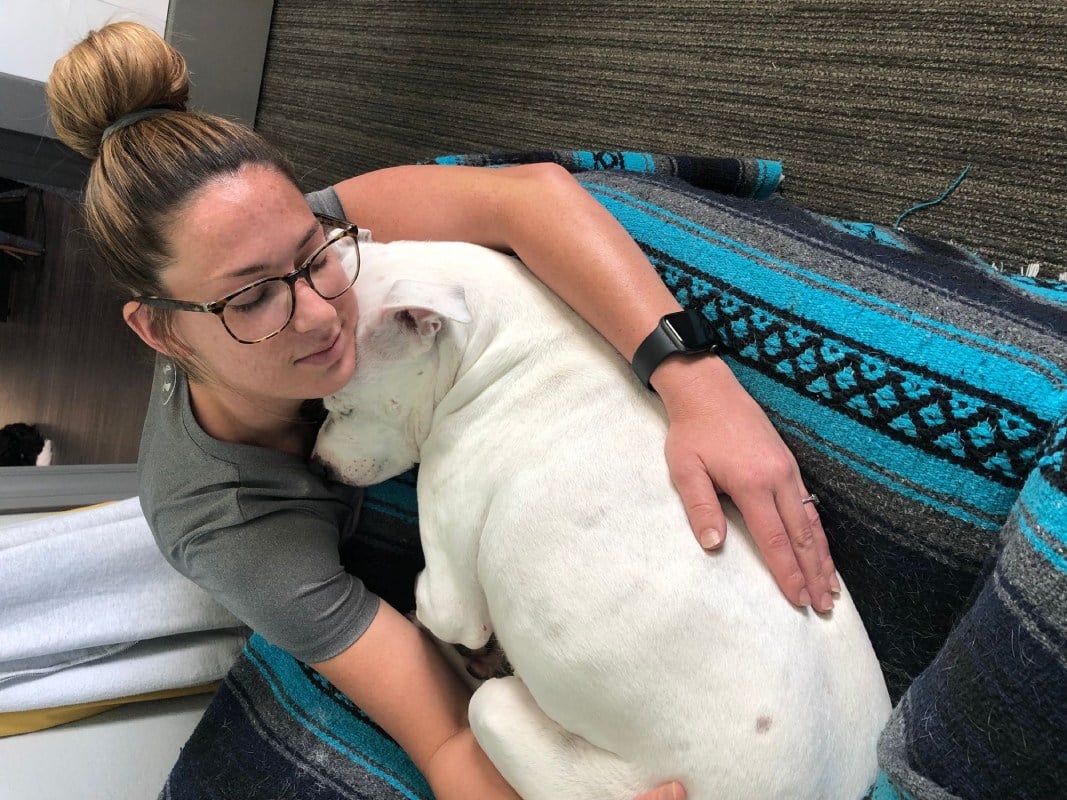 A person with glasses is cuddling a white dog while sitting on a colorful blanket.