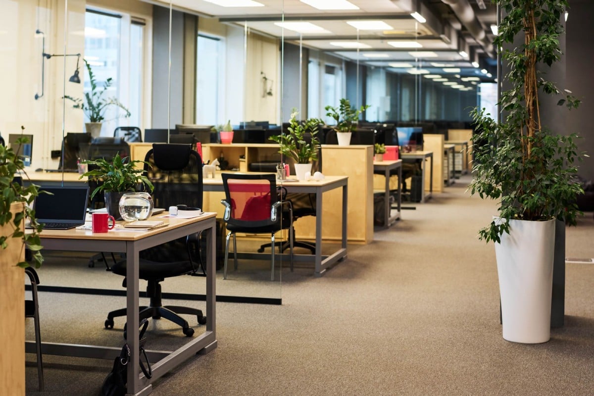 An office space with desks, plants, and computers, featuring a modern and open layout.