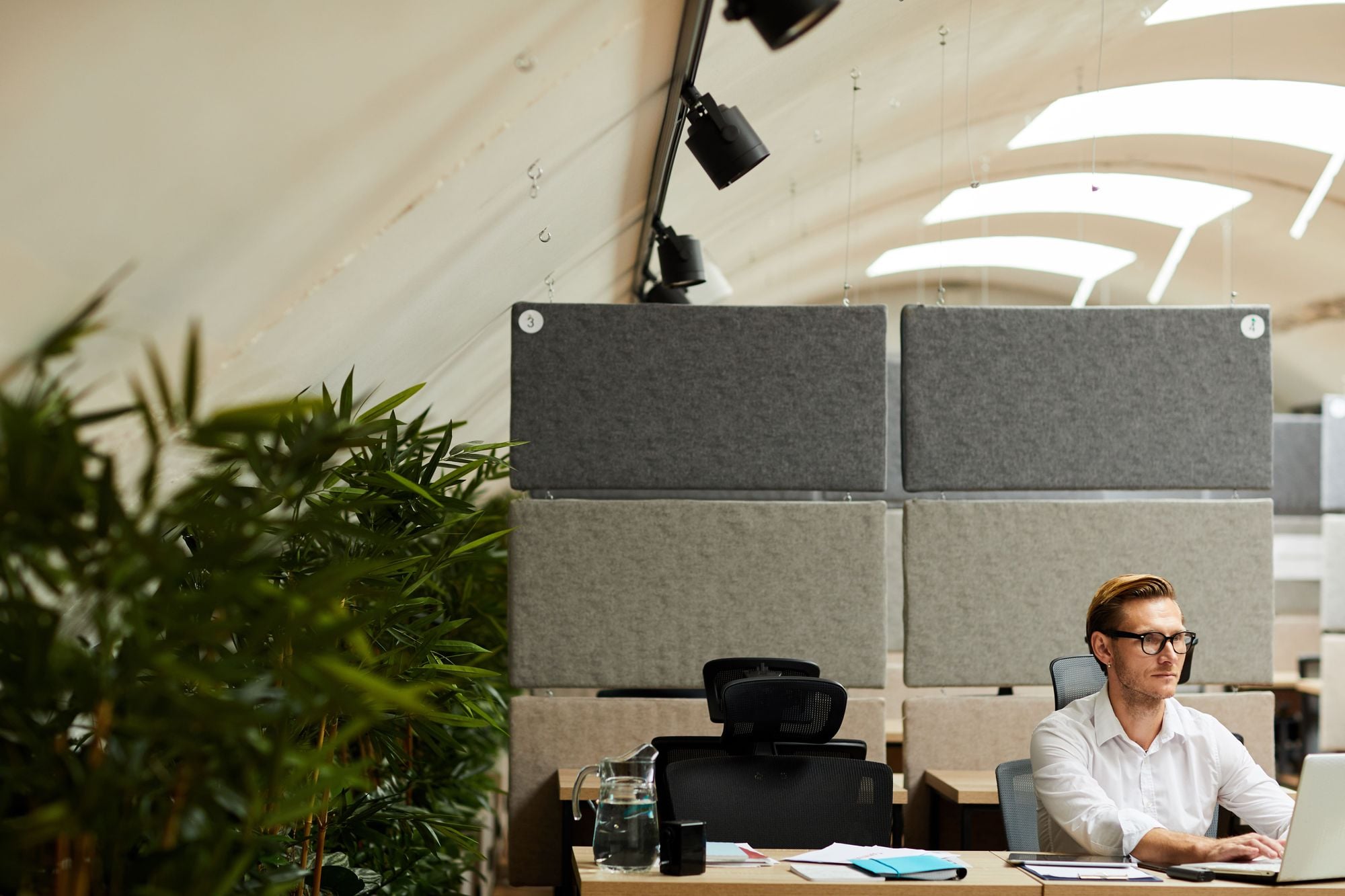 A man working on a laptop in a modern office space with soundproof panels and greenery in the background.
