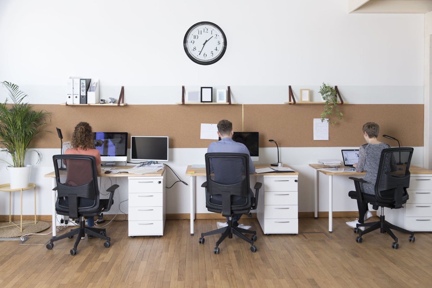 Three people working at desks in an office space, with a clock on the wall and plants in the background.
