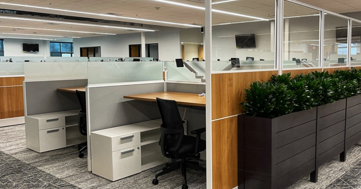 An office space featuring multiple desks and a corner adorned with potted plants for a refreshing atmosphere.