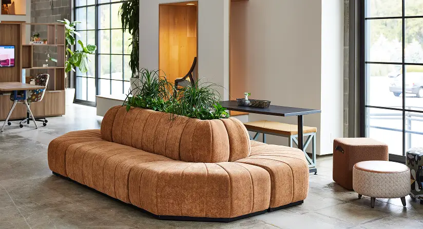 A modern office featuring a comfortable couch and decorative plants, creating a welcoming and vibrant workspace.