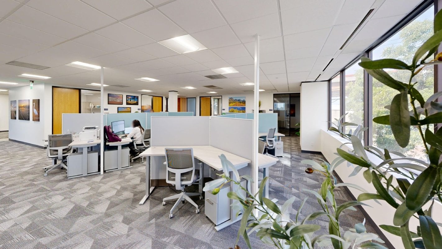 An office space with workstations divided by partitions, featuring computers and ergonomic chairs, along with a view through large windows and some indoor plants.